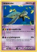 carapacedur