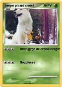 berger picard
