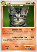 chat