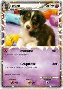 chien chien