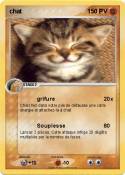 chat