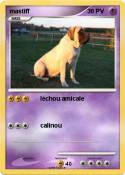 mastiff mastiff