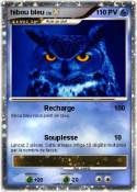 hibou bleu