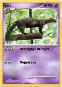 tayra