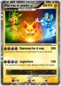 Feu eau et plante Feu eau et