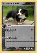 le chien de la