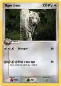 Tigre blanc