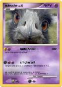autruche