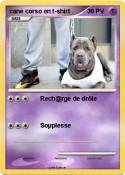cane corso en