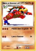 Mario et Bowser