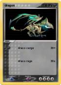 dragon dragon
