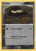 le voleur