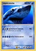 requin moche 1