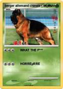 berger allemand