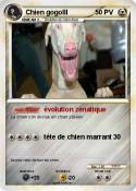 Chien gogolll