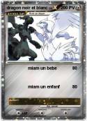 dragon noir et