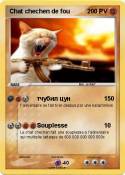 Chat chechen de fou Chat chechen de