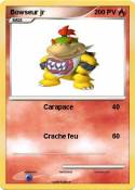 Bowseur jr