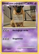 mastiff avec