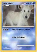 rattle mixte