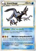 Grand Baggi