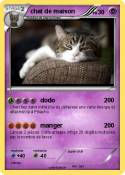 chat de maison