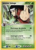 premier hokage