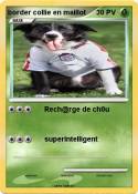 border collie