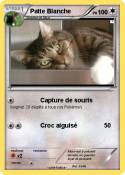 Patte Blanche