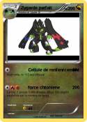 Zygarde parfait