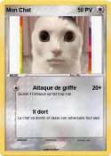 Mon Chat Mon Chat