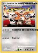 le chihuahua de
