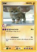 chat