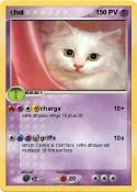 chat