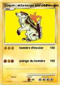 Coquet ( akita-berger blanc suisse Coquet (