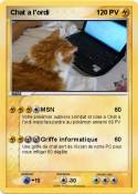 Chat a l'ordi