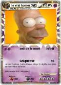 le vrai homer