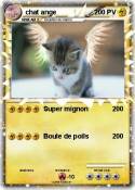 chat ange