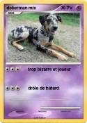 doberman mix doberman mix