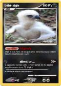 bébé aigle bébé aigle