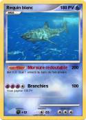 Requin blanc Requin blanc
