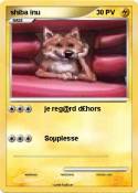 shiba inu