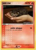 petit chat