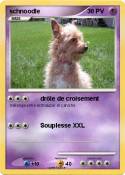 schnoodle