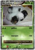 les chatons