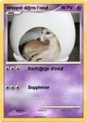 whippet d@ns l'oeuf whippet d@ns