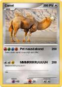 Camel