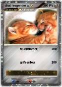 chat lesgender