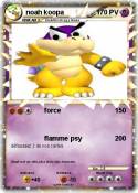 noah koopa noah koopa