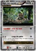 tigre des